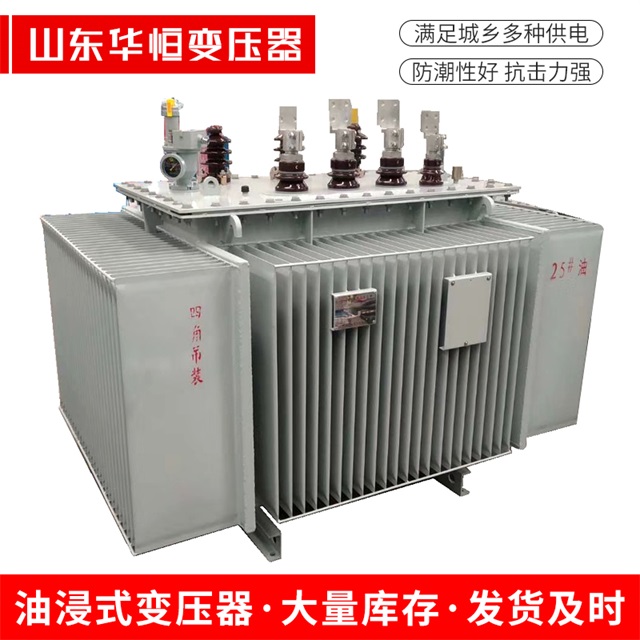 S13-10000/35东丰东丰东丰电力变压器厂家
