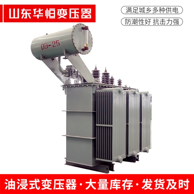 S11-10000/35东丰东丰东丰电力变压器厂家