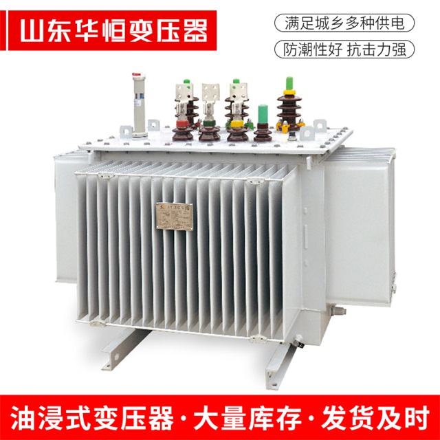 S13-10000/35东丰东丰东丰电力变压器