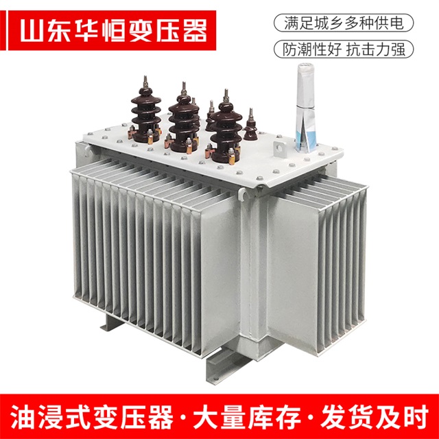 S13-10000/35东丰东丰东丰油浸式变压器厂家